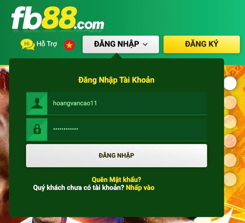 Nhập thông tin tài khoản